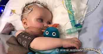 Parents refuse chemotherapy and radiotherapy for cancer-stricken baby son in favour of cannabis oil