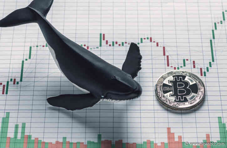 Bitcoin Longs Near All-Time High, TD9 Reaches Sell Signal