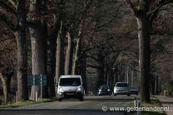 Massale bomenkap in buitengebied Winterswijk: 'We gaan de rode loper oprollen'