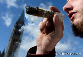 Canadians spent $908M at cannabis stores since legalization, StatCan says