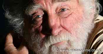 Legendary nature presenter David Bellamy dies