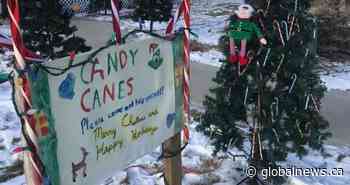 ‘Magical Christmas tree’ spreading joy in Dawson Creek, B.C.