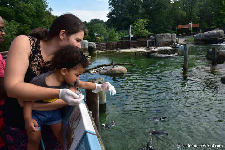 You Can Get Breakfast With Maryland Zoo Animals On These Dates