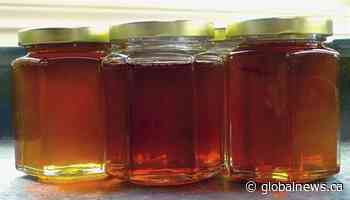 Canada’s maple syrup production reaches record high while honey output drops