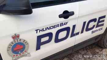 Thunder Bay man who fled from police formally charged in two more robberies