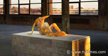 What to See Right Now in New York Art Galleries