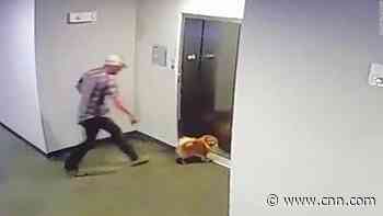 Man saves dog with leash stuck in elevator