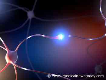 Medical News Today: Transport breakdown in brain cells may lead to Alzheimer's, Parkinson's