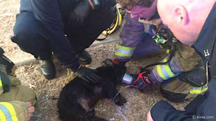 TFD responds to westside house fire, CPR Performed on multiple dogs