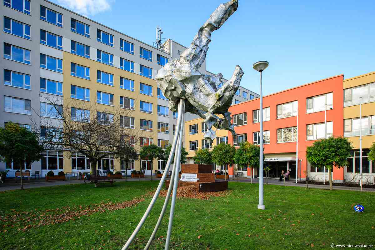 Mechelen gaat op de schop