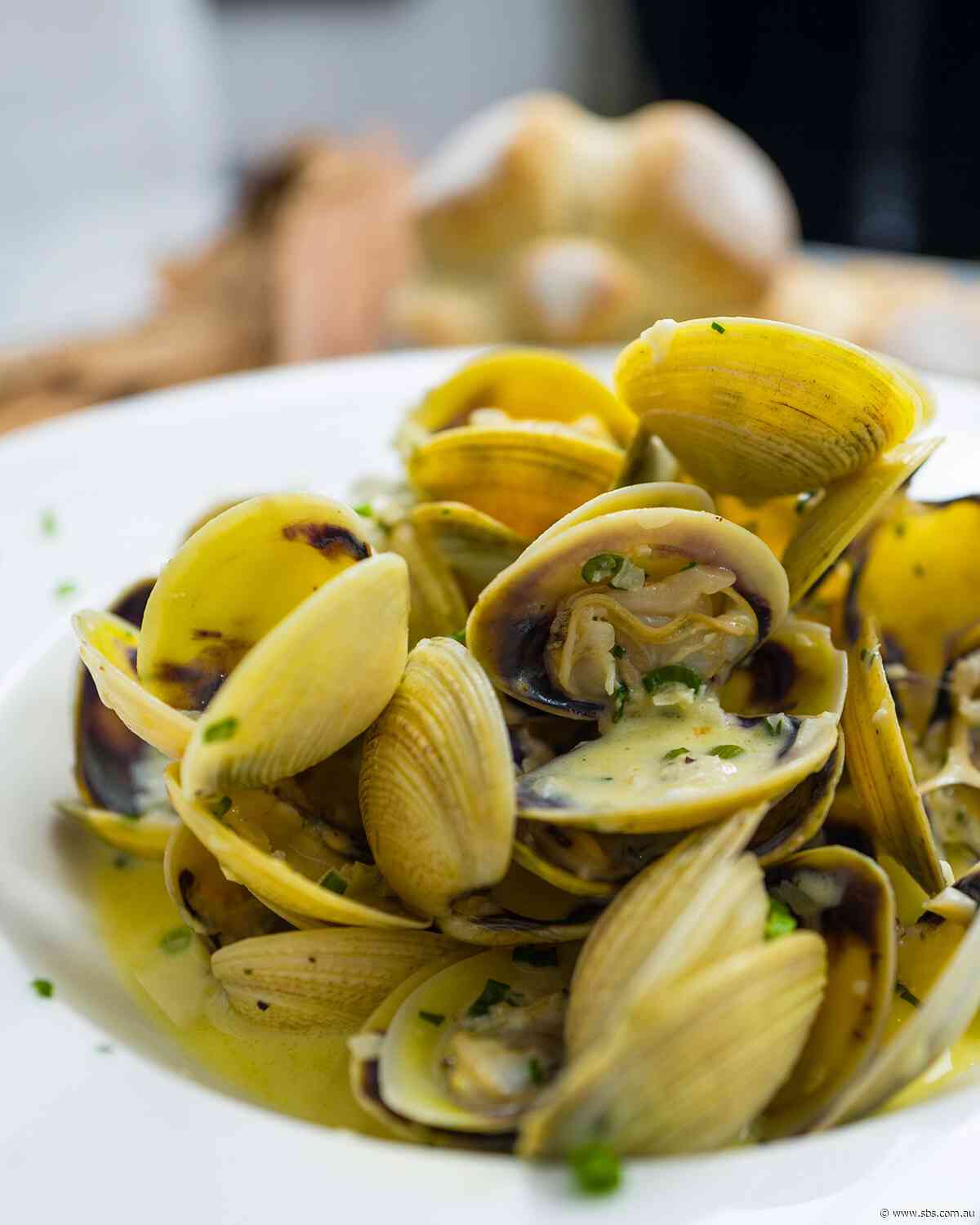 Lemon myrtle-scented white wine clams