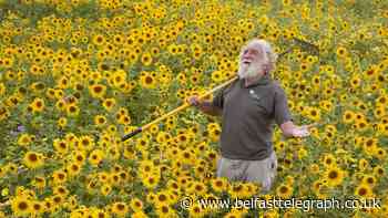 Broadcaster David Bellamy dies at the age of 86