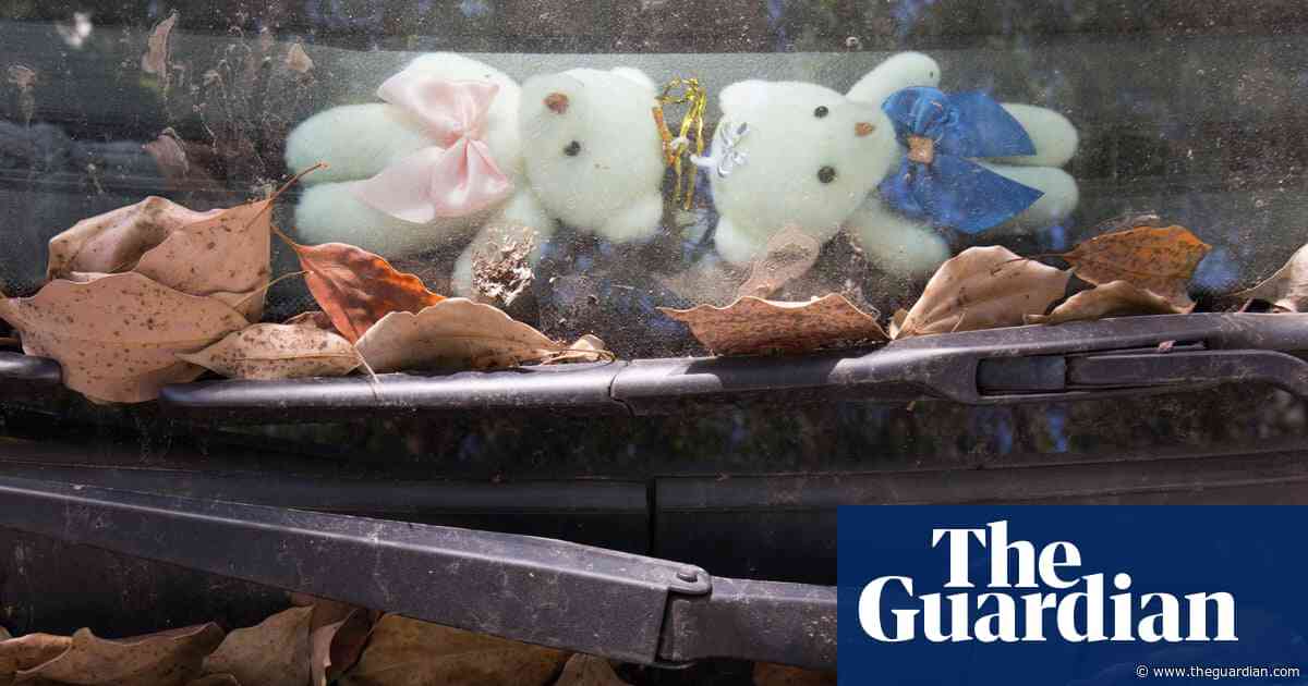 Cute furry things … and chairman Mao: China's obsession with car dashboard figurines – in pictures
