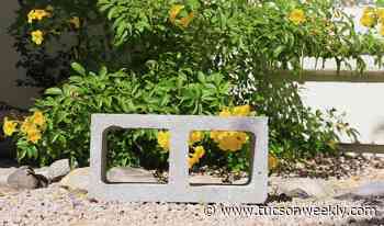 Things to do: Thursday, Dec. 12