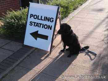 Dogs at Oxfordshire polling stations - general election 2019