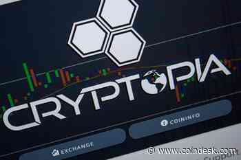 Cryptopia’s Liquidator Claws Back $7.2M, But Identifying Crypo Ownership a ‘Mammoth Task’