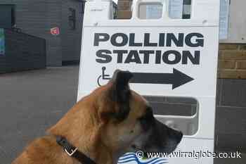 Are selfies allowed at polling stations and do you vote with a pen or pencil?