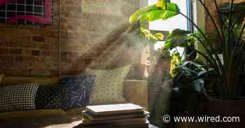 Room to Breathe: My Quest to Clean Up My Home's Filthy Air