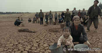 ‘Chinese Portrait’ Review: A Snapshot of a Country, Artfully Composed