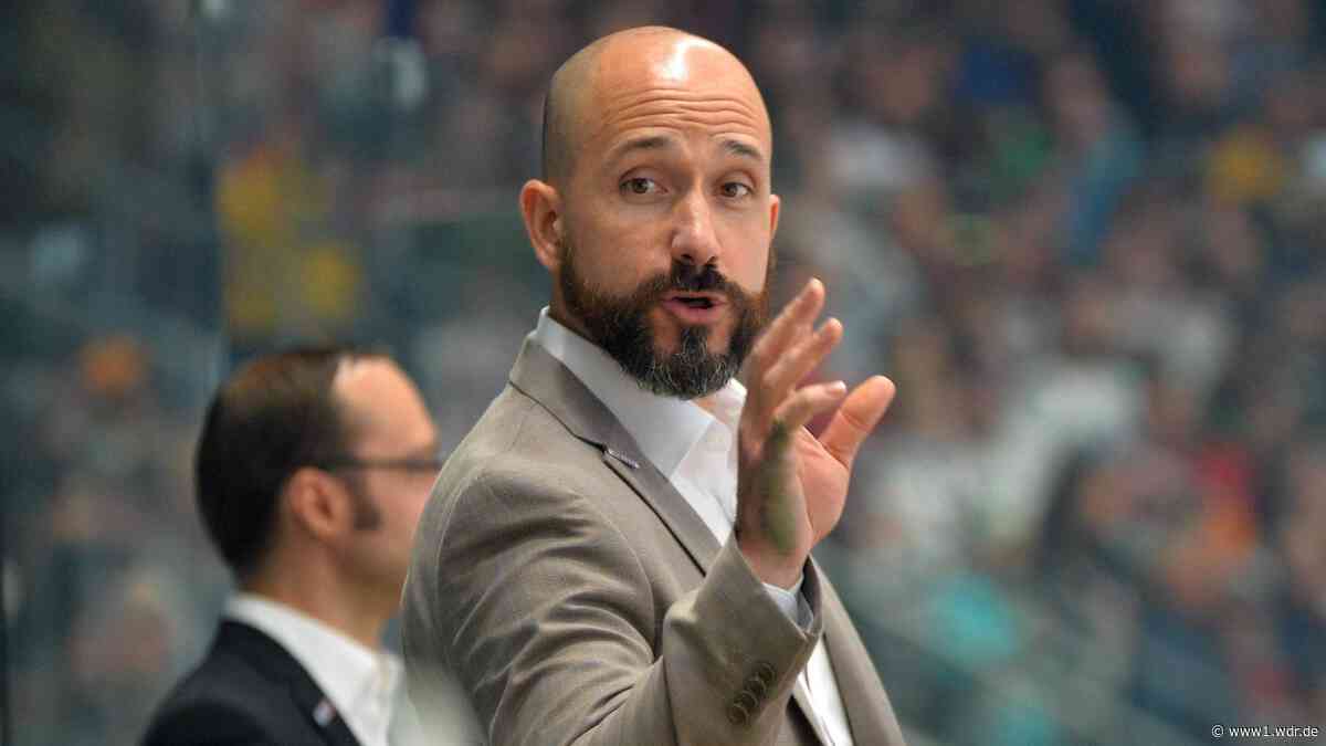 Krefeld Pinguine trennen sich von Trainer Reid
