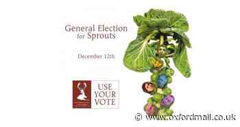 General Election 2019: Which is the best politically-themed Brussels sprout?