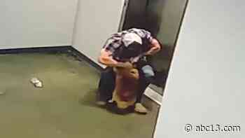 Man rescuing dog stuck outside elevator goes viral