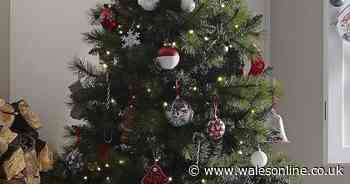 Half price Chrstmas trees and decorations now available at Tesco