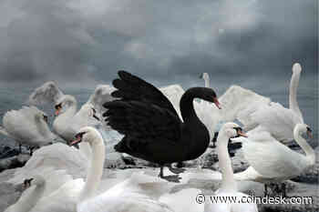 Equilibrium’s Stablecoin Now Has $17.5M in Insurance That Pays Out Automatically