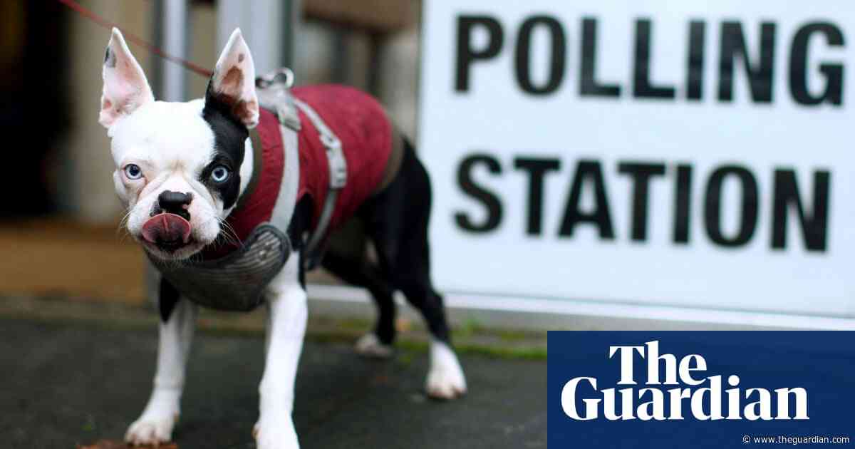 Left out in the cold: dogs at polling stations – in pictures