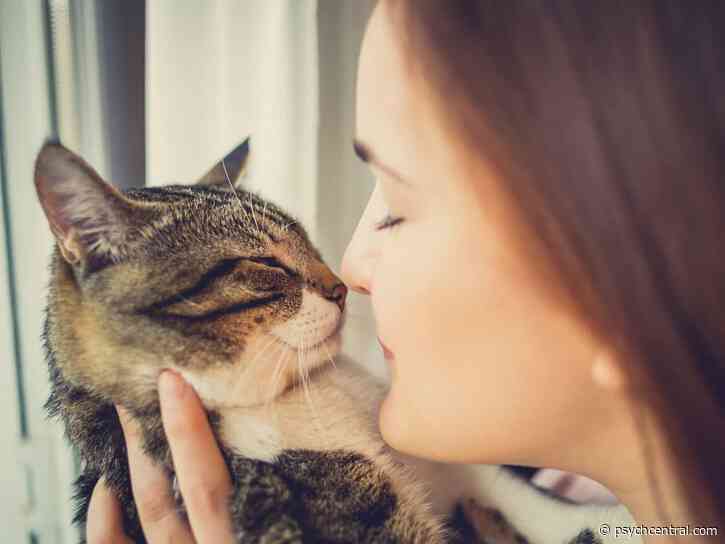 Are You a Natural Cat Whisperer?