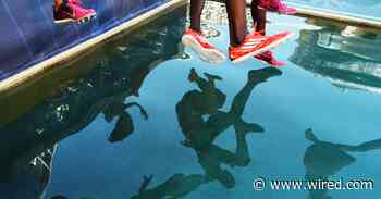 A Kung Fu Master’s Leap Breaks the Internet—but Not Physics