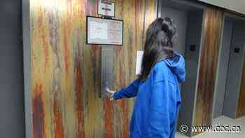 'He's in my building': Woman living in fear after accused attacker granted bail