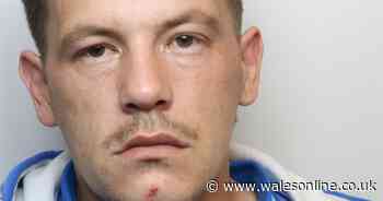 Haul of amphetamine, ecstasy and cannabis worth £26,000 found in dad's garden shed