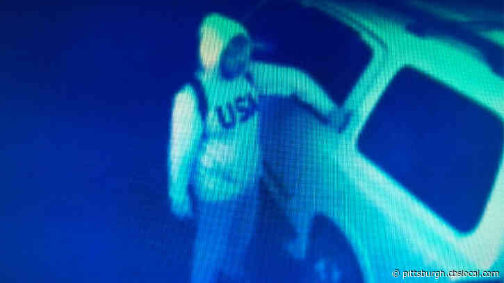 Police Work To Identify 2 Males Accused Of Stealing From Cars In Indiana Co.