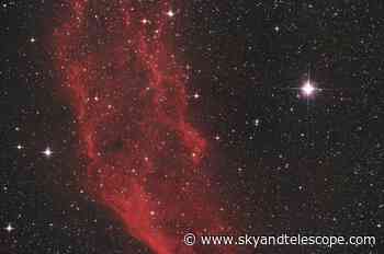 California Nebula and Menkib