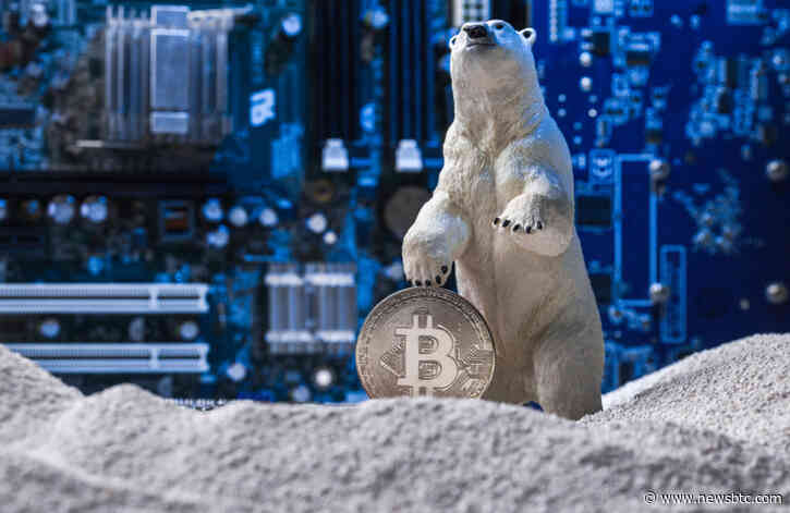 Bitcoin At Risk Of 12 More Months Of Bear Hibernation, Possible Lower Low