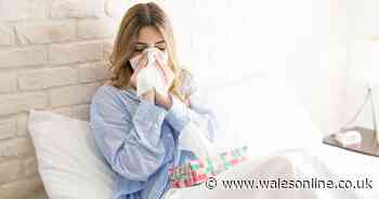 Flu sweeps across Wales as GPs see rise in reported cases