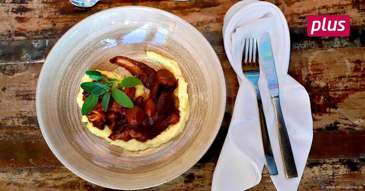 Darmstädter Küchencrew empfiehlt veganes Weihnachtsmenü