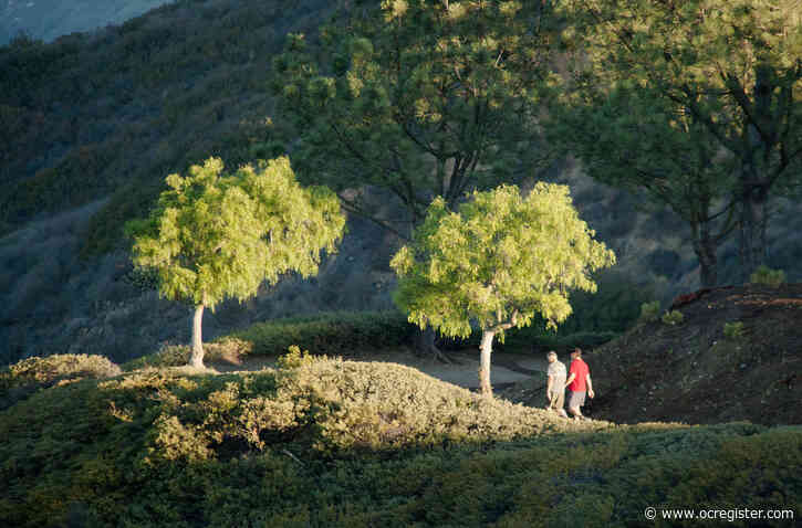 Tot walk allows infants and toddlers to explore nature at their own pace
