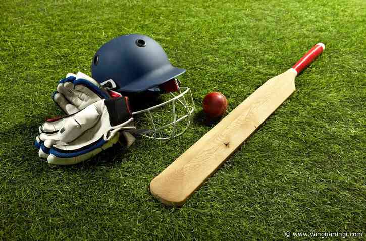 Second major South African cricket sponsor seeks resignations