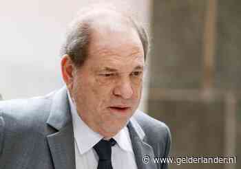 ‘Deal Weinstein is verontrustend: meeste geld gaat naar hemzelf’