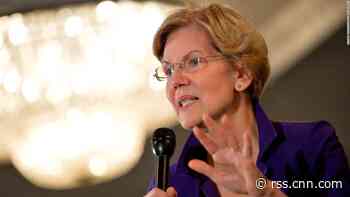 Doubts creep in as analysts pick apart Warren's big ideas