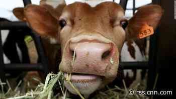 World must reach 'peak meat' by 2030