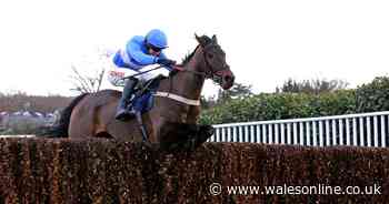 Stellar day at Sandown for Welsh trainers Evan Williams and Tim Vaughan