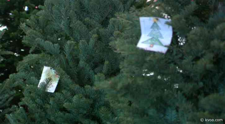 Christmas trees connect Oregon kindergartners to Tucson families