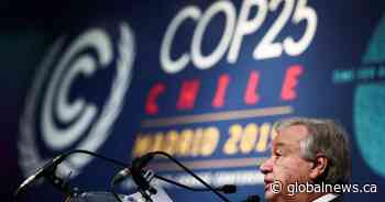 Failure to tackle climate crisis will lead to economic disaster, UN chief warns