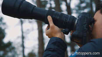 A Review of the Tamron SP 150-600mm f/5-6.3 Di VC USD G2 Lens