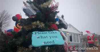 Regina ‘giving tree’ offers warm winter gear for anyone in need