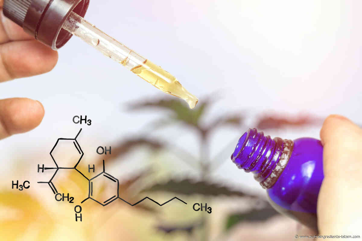 CBD in Latin America: What can we expect?
