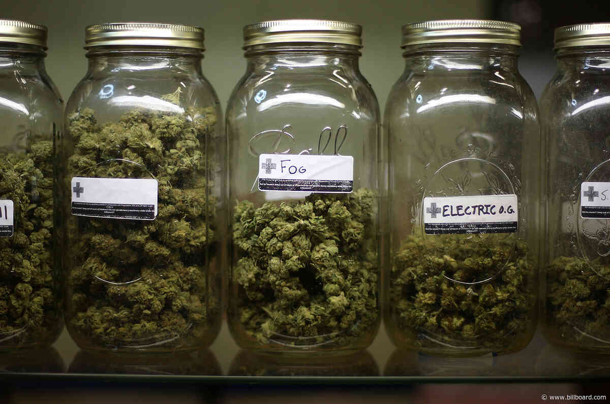 Cannabis' Top Festival Celebrates This Weekend as Competition Concerns, Global Warming Loom